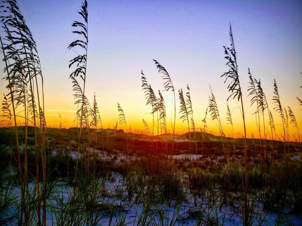 Gone Gulfn - Incredible With Private Pool * Panama City Beach